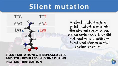 witcher mutations|‘Silent’ mutations found to have repercussions beyond their own .